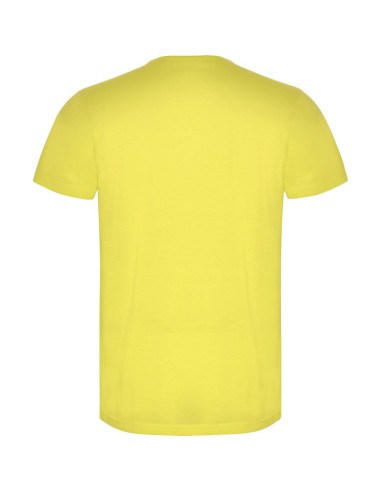 T-SHIRT ESTIVA AKITA