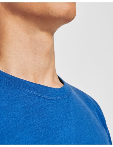 T-SHIRT TERRIER IN COTONE