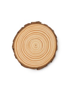 SET SOTTOBICCHIERI PINEA 2