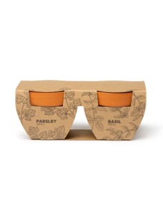 DUE VASI DA FIORI TULSY 2