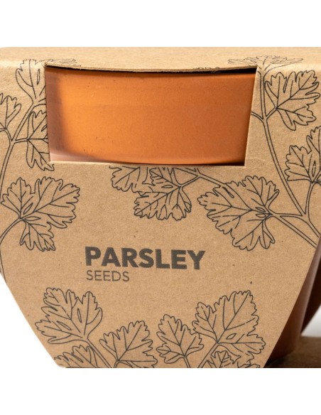 DUE VASI DA FIORI TULSY