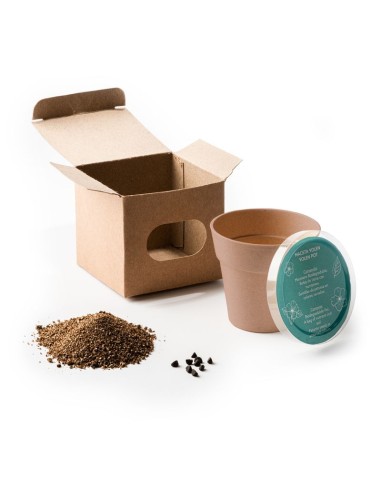 VASO VOLEN CON SEMI DI PETUNIA