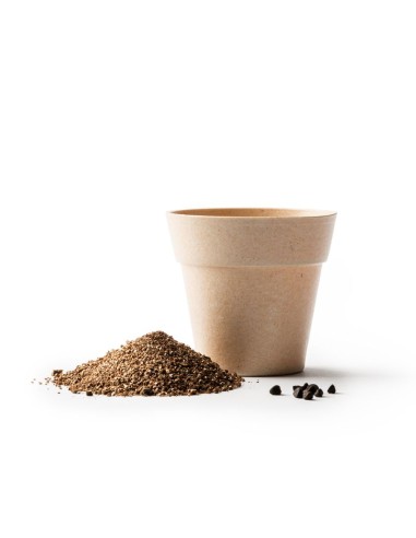 VASO VOLEN CON SEMI DI PETUNIA