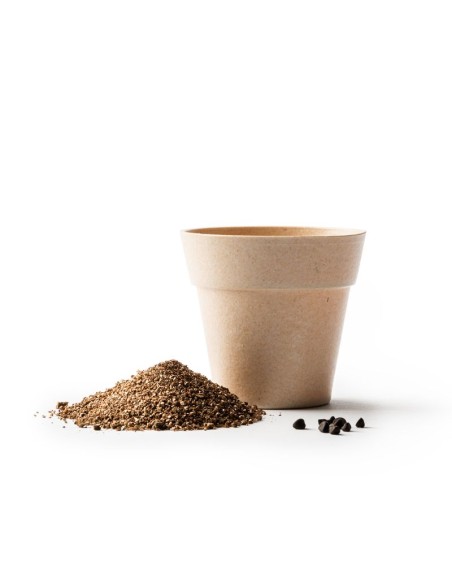 VASO VOLEN CON SEMI DI PETUNIA