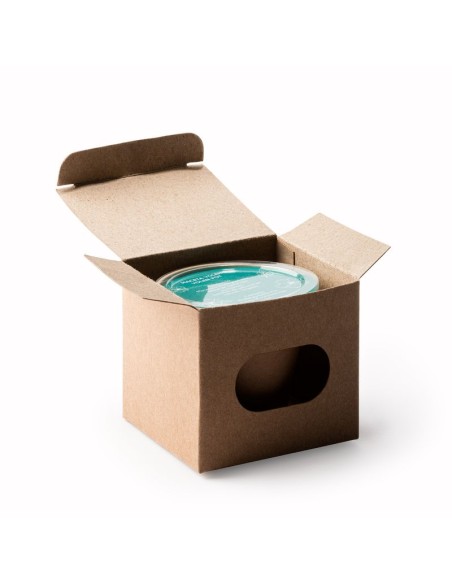 VASO VOLEN CON SEMI DI PETUNIA